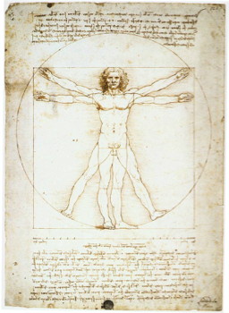 ダ・ヴィンチのウィトルウィウス的人体図と黄金比