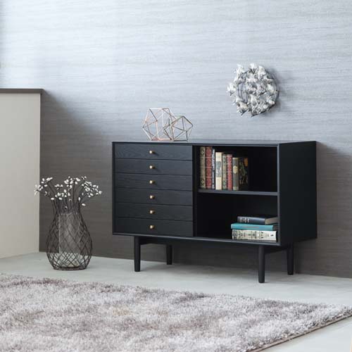 旭川家具 TAKUMI KOHGEI 匠工芸 Fawn ファウン キャビネット ハイ 2連